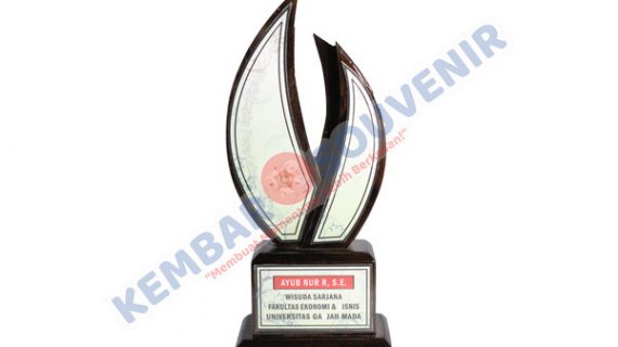 Akrilik Penghargaan Akademi Farmasi Nasional Surakarta