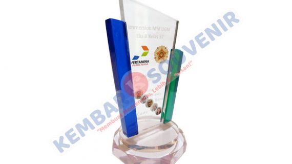 Piala Akrilik STT Pelita Hati