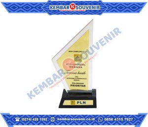 Piala Akrilik Murah Sekolah Tinggi Ilmu Ekonomi Pembangunan Indonesia